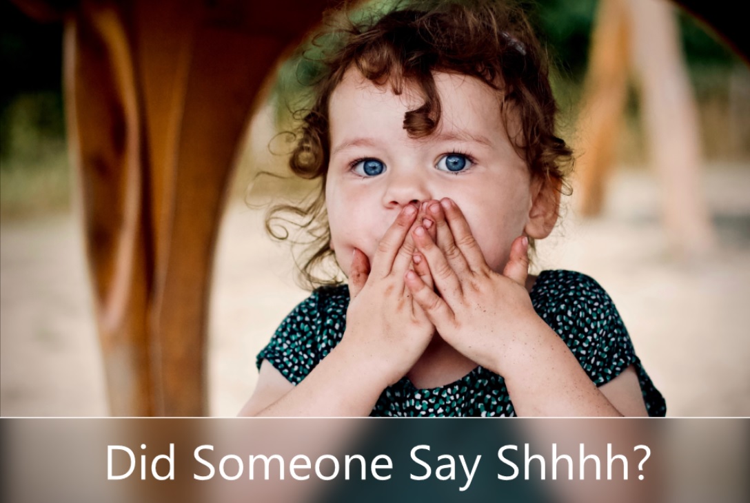 Sub Section 04: Being a Good Child in Public Places – Not So Loud, Please