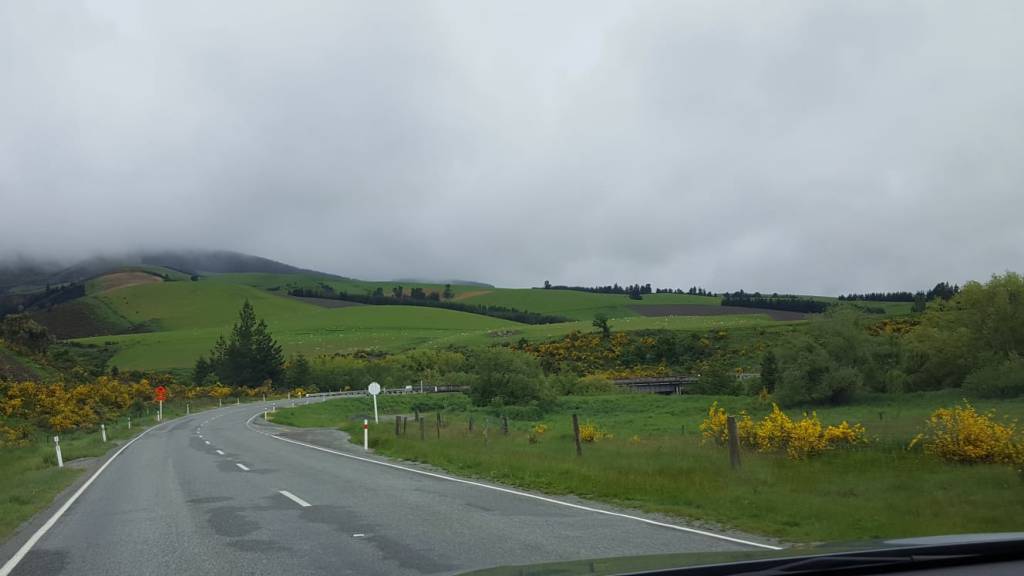 Ever Heard of Road&nbsp;Etiquette?